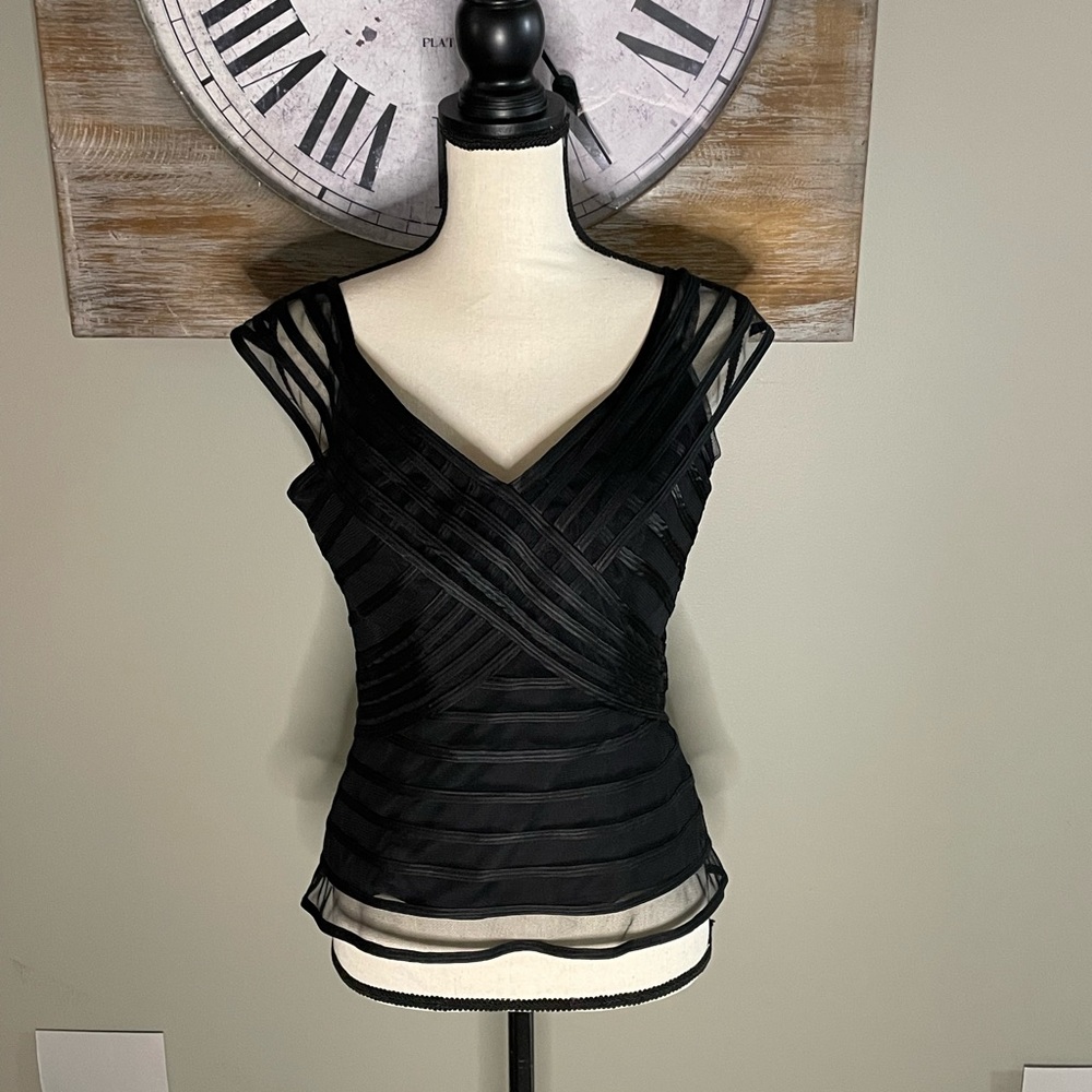 Black Sheer Striped Blouse